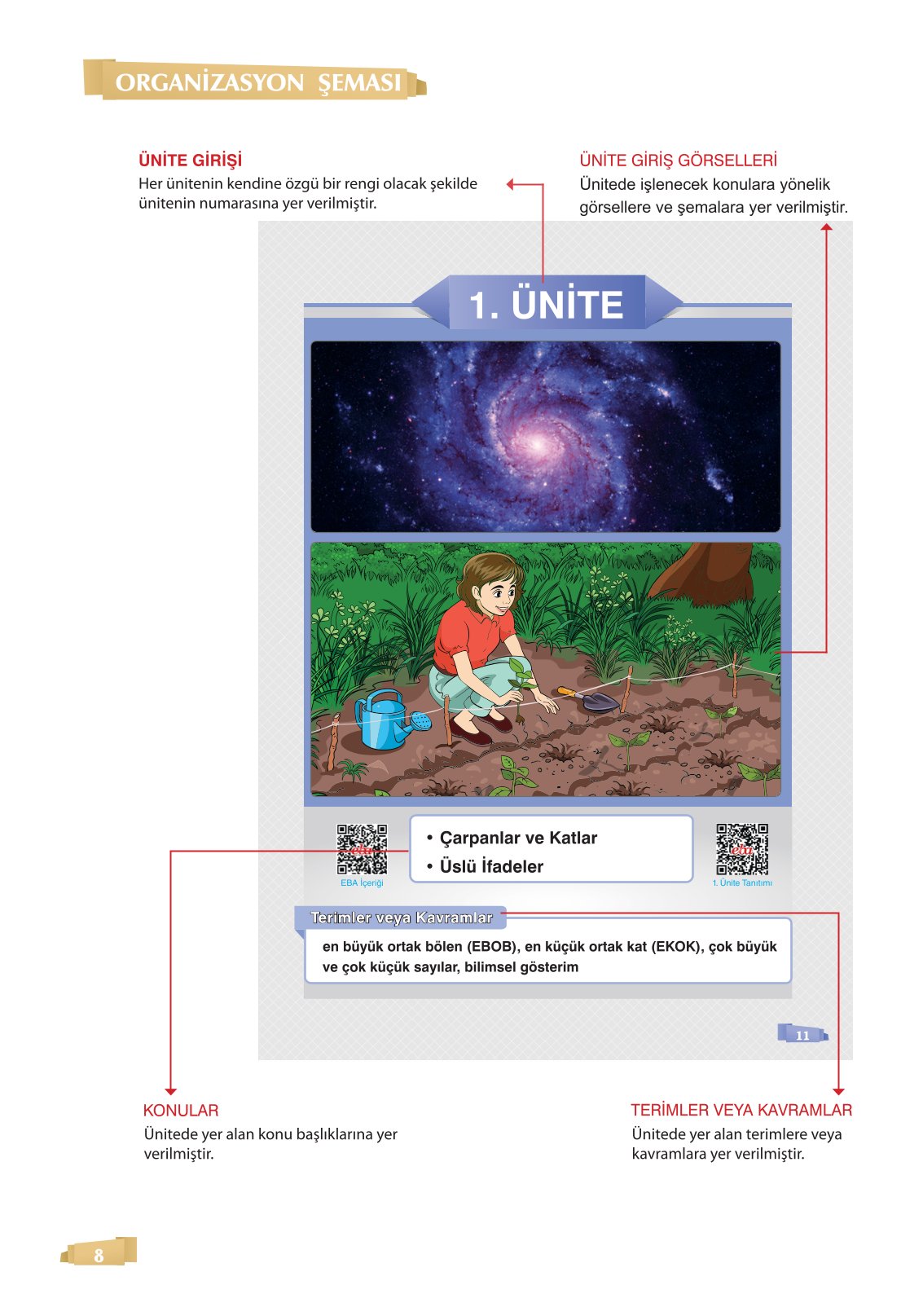 8. Sınıf Matematik Ders Kitabı Sonuç Yayınları Sayfa 8 Cevapları