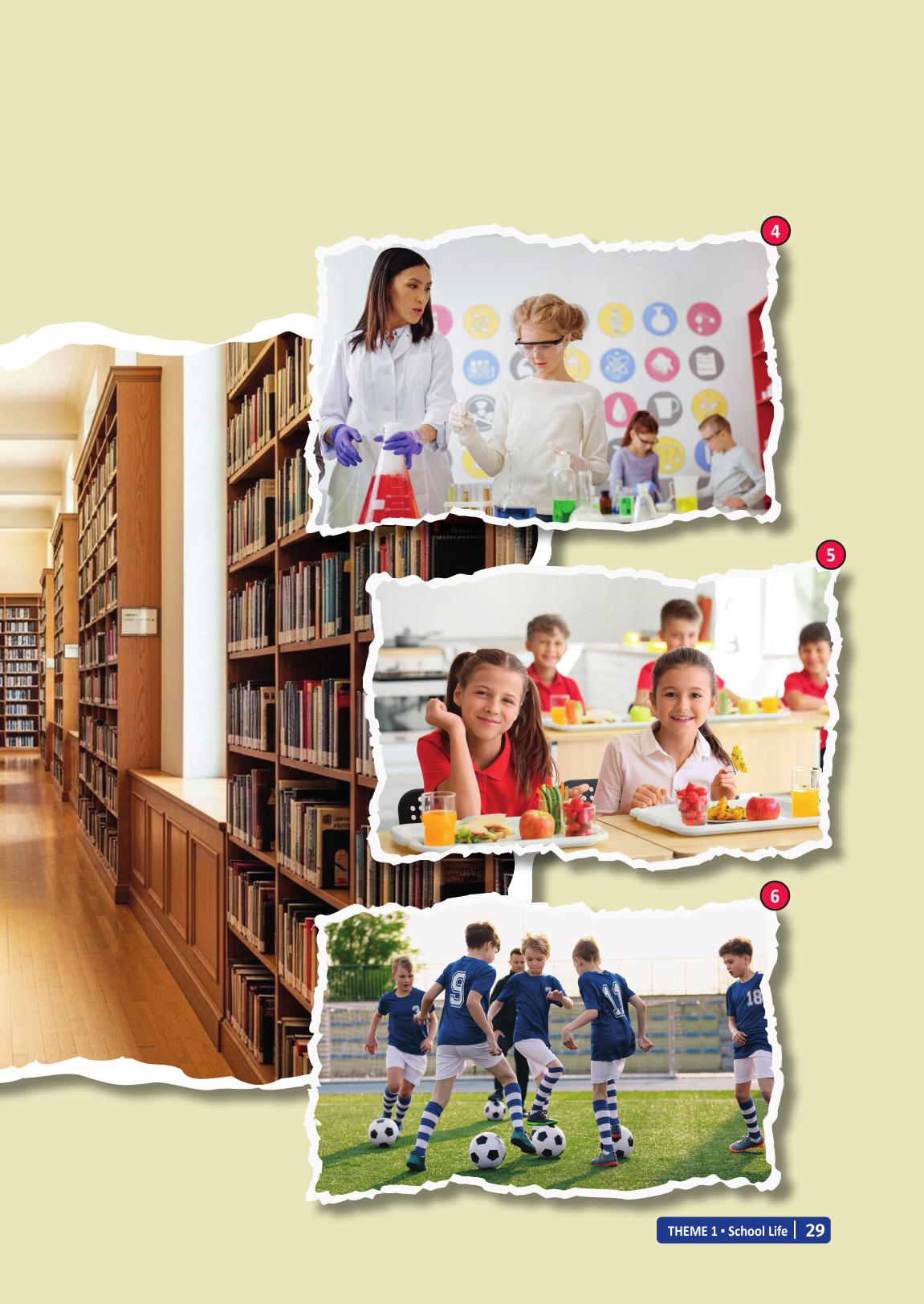 6. Sınıf Meb Yayınları İngilizce Ders Kitabı Sayfa 29 Cevapları 6. Sınıf Meb Yayınları İngilizce Ders Kitabı Sayfa 29 Cevapları