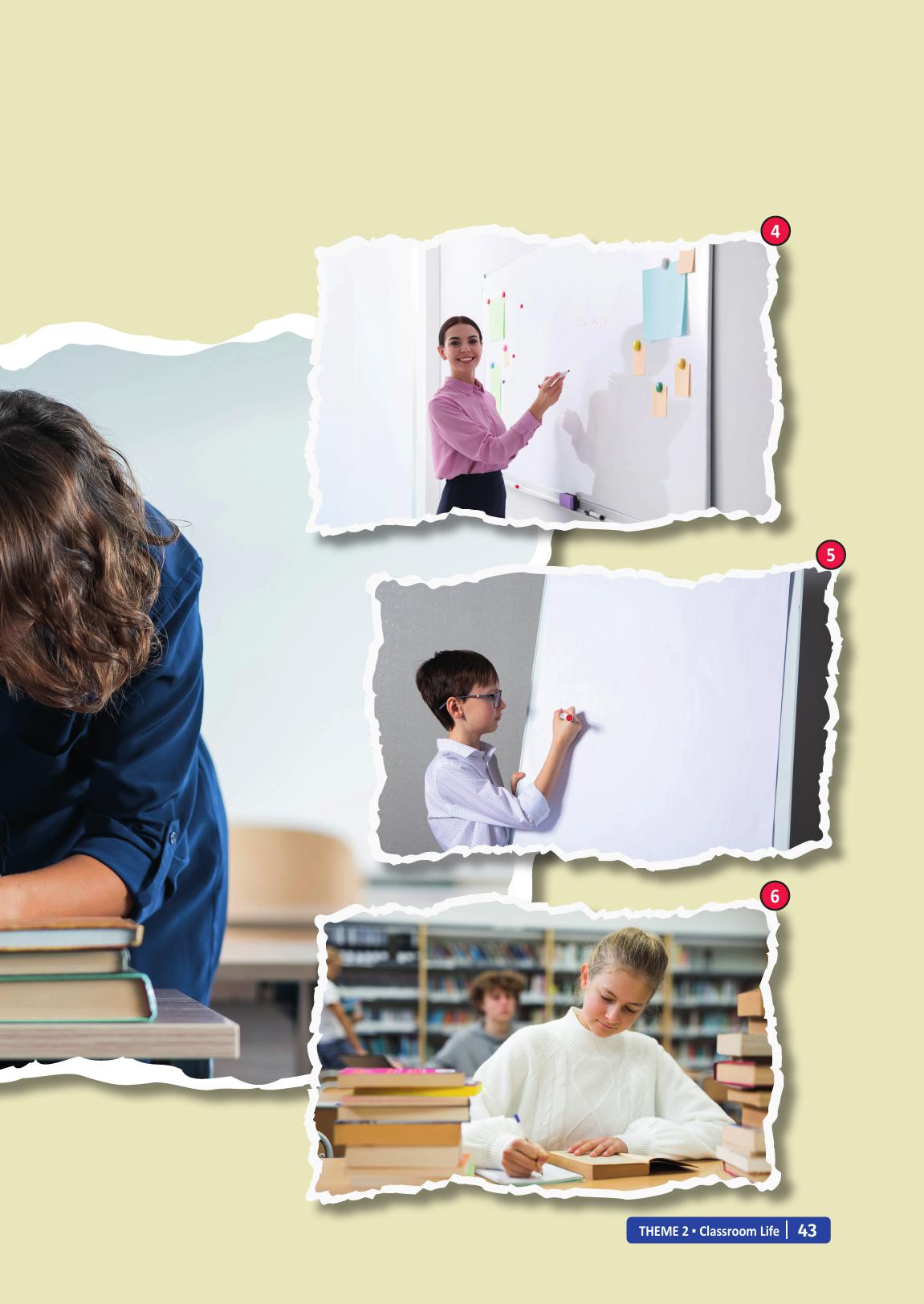 6. Sınıf Meb Yayınları İngilizce Ders Kitabı Sayfa 43 Cevapları